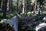Dusy_2010 (206)