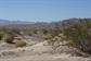 Mojave_2009 (129)