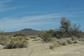 Mojave_2009 (155)