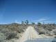 Mojave_2009 (229)