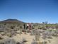 Mojave_2009 (238)