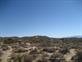 Mojave_2009 (239)