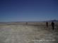 Mojave_2009 (273)