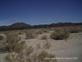 Mojave_2009 (283)