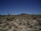 Mojave_2009 (289)