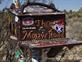 Mojave_2009 (297)