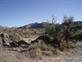 Mojave_2009 (317)